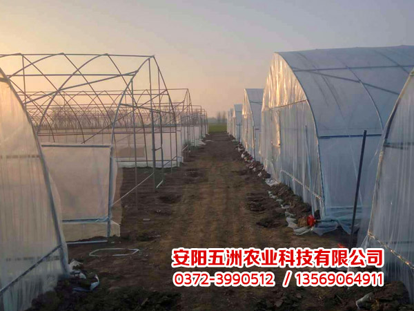 鋼管大棚 鋼管大棚